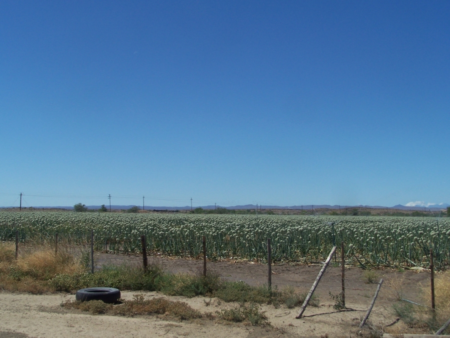 Commercial Property for Sale in Leeu Gamka Western Cape